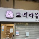 몽애견 | 안양동애견미용 만족스러웠던 쁘띠아몽 애견미용실 후기