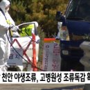 삼성조류 이미지