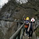 신비로-11 이미지