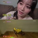 멍멍멍 이미지