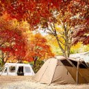 다산식자재마트 수동점 이미지