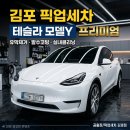 드림세차 - 4434 | 김포픽업세차 테슬라 모델Y, 유막부터 실내까지 완벽하게 잡은 디테일링세차 후기