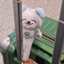 N6002 | 새벽 홍대입구역에서 인천 공항 심야버스 타고 출국하기 :: N6002 심야 리무진 탑승 후기