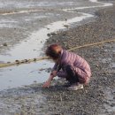 바다와 노을 이미지