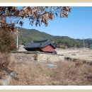 열녀 광산김씨 정려 이미지