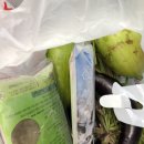 용성농장 이미지