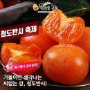 청도농산 티스토리