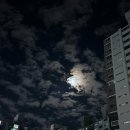 씨제이올리브영(주)일산벨라시타점 | 10월 3주차 일상