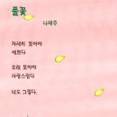 풀꽃