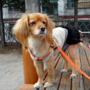 살랑살랑 이미지