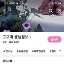 대유 이벤트 행사 에 당첨되서. 기분이 좋습니다 이미지