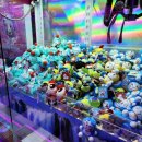 와다다오락실 이미지