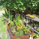 고령금산한우 이미지