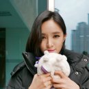 향일고등학교 이미지