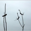 솟대 - 종로구 종로 336 | 솟대