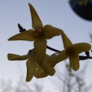 환타지아 콘도미니엄 이미지