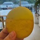 참협동조합 | 전주 만성동 베이커리 카페 전주담베이커리카페(우리제과제빵협동조합) 솔직 후기