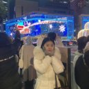 연휴로운 일상💨🎄