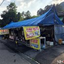소망농장 티스토리