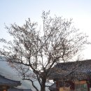 표충사2 이미지