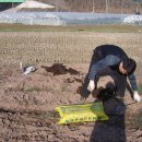 새봄농장 이미지