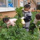 직지초교병설유치원 이미지