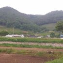 금빛마을경로당 이미지