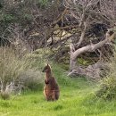 제일기초푸드뱅크 | 싱가포르항공 수하물 지연 보상 해외 여행자보험 마이뱅크 보상 청구 방법 후기