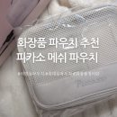 피카소화장품 - 광양시 읍내중앙길 31 | 여행용 휴대용 화장품 파우치 추천 피카소 메쉬 파우치 내돈내산