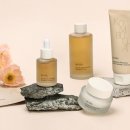 화장품랜드21 이미지