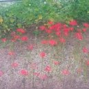 김종군농장 이미지