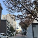 신월4동주민센터 이미지