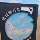 파도향기 | 속초 가볼만한 곳 비경 외옹치해수욕장과 오션둘레길 바다향기로 방문후기