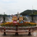 대전오월드 이미지