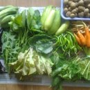 비젼농장 이미지