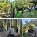 사나물농장 이미지