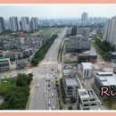 세교동 사거리 이미지