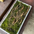 아버님농장 이미지