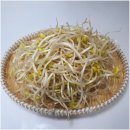 예스점핑 이미지