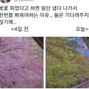 인모먼트