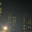 핑크 베이커리 | 성수 빵지순례 시작은 여기서, 베이커리카페 핑크오븐 방문 후기