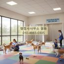 이정표 행정사사무소 이미지