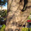 장말어린이공원 이미지