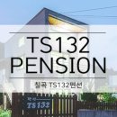 TS-132 이미지