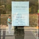 보은국민여가캠핑장 | 충북 보은 가을 키즈캠핑장 국민여가캠핑장 명당자리 후기