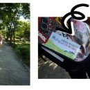 호성 구내식당