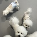 고잔유치원 이미지