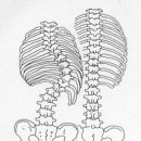 연세광혜병원 이미지