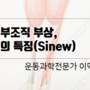 엑서사이언스짐 이미지