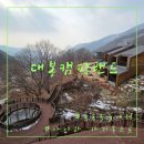 [아이와 가기 좋은 자연휴양림] 대봉캠핑랜드 후기 사나래관 205호 후기